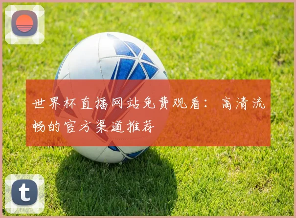 世界杯直播网站免费观看：高清流畅的官方渠道推荐