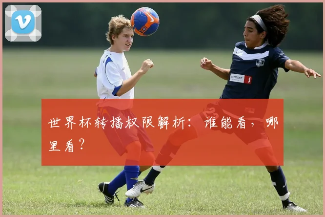 世界杯转播权限解析：谁能看，哪里看？