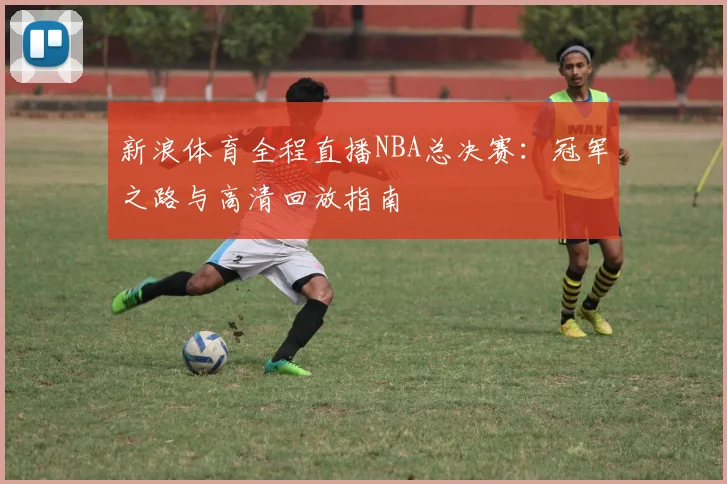 新浪体育全程直播NBA总决赛：冠军之路与高清回放指南