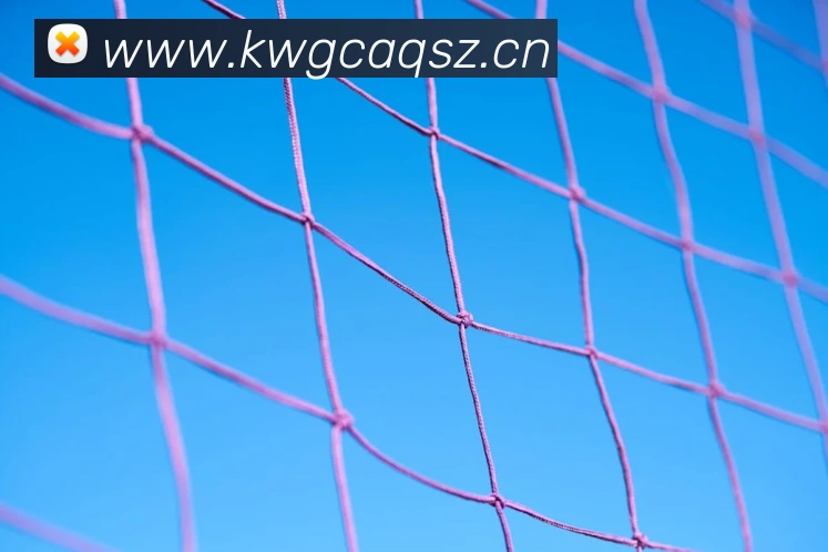 星空平台app官网入口平台生态图