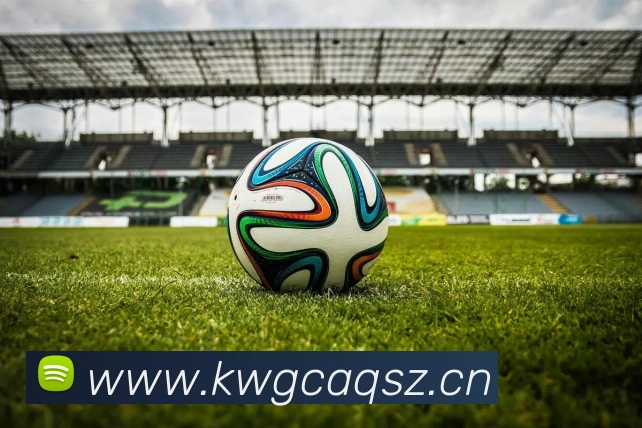 星空平台app官网入口APP 封面图